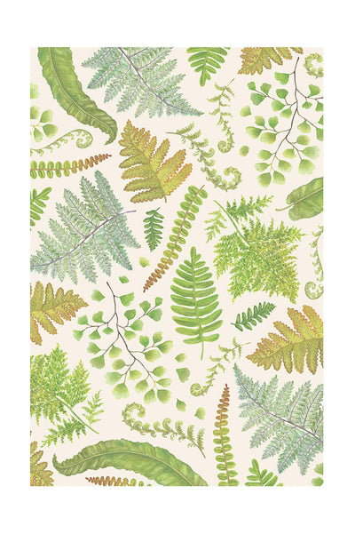 PLACEMATS, FERN COLLECTION