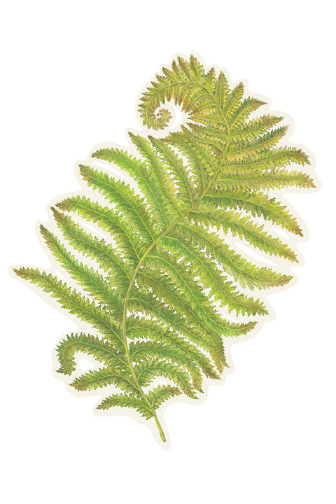 Hester & Cook | Fern Frond | Placemats