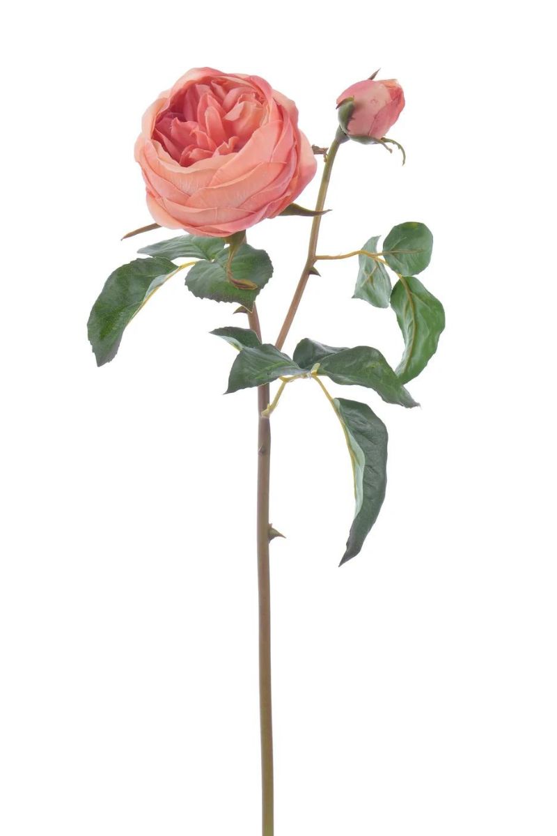Faux English Ambridge Rose Stem 19" Dark Salmon
