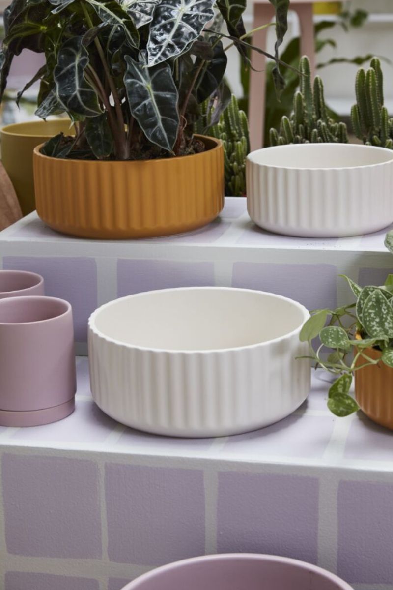 Beam Bowl 10"x4" Off White