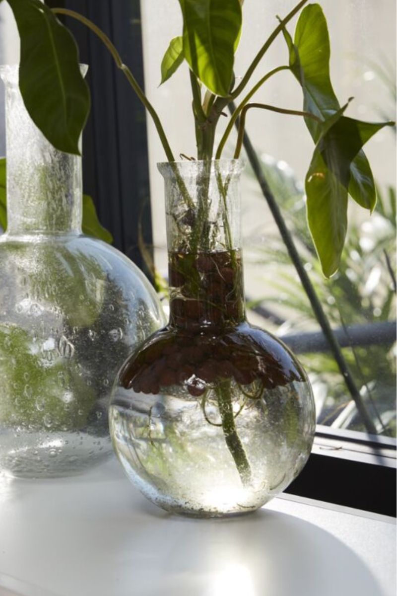 Florence Vase 6.75"x12.25"