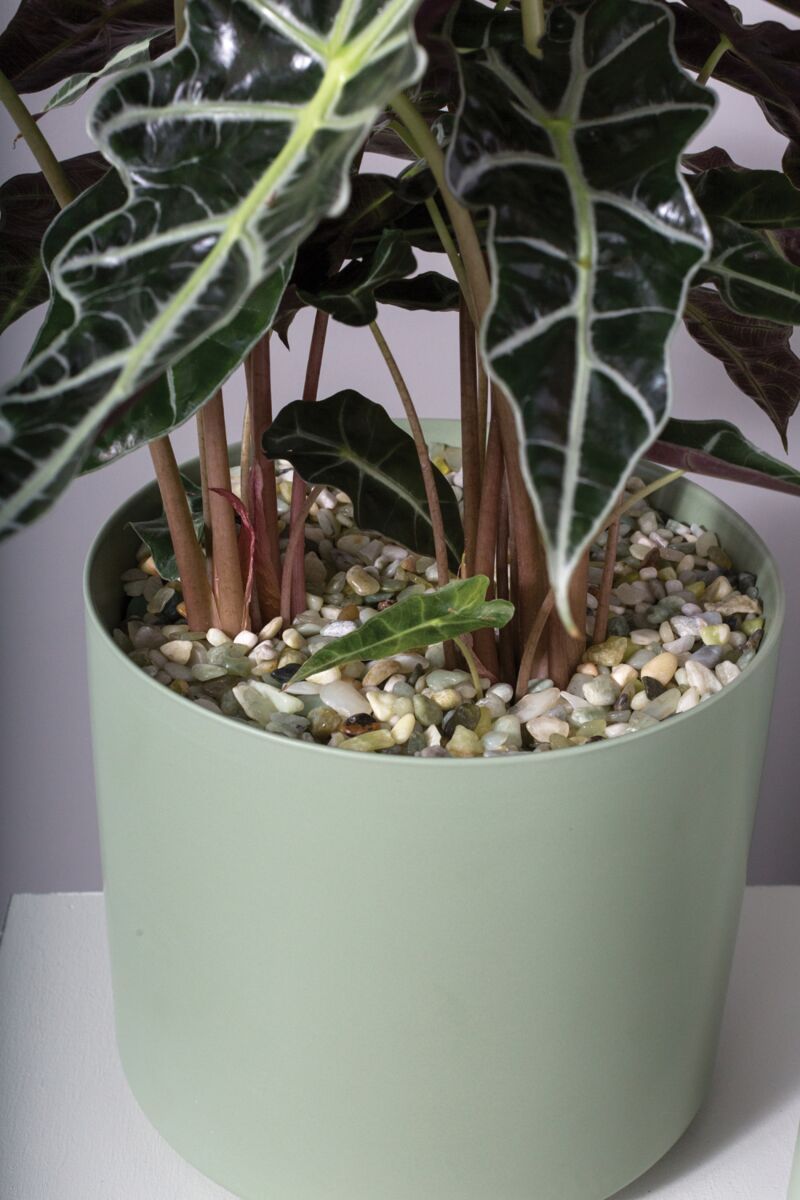 Natural Stone 37 oz Light Green