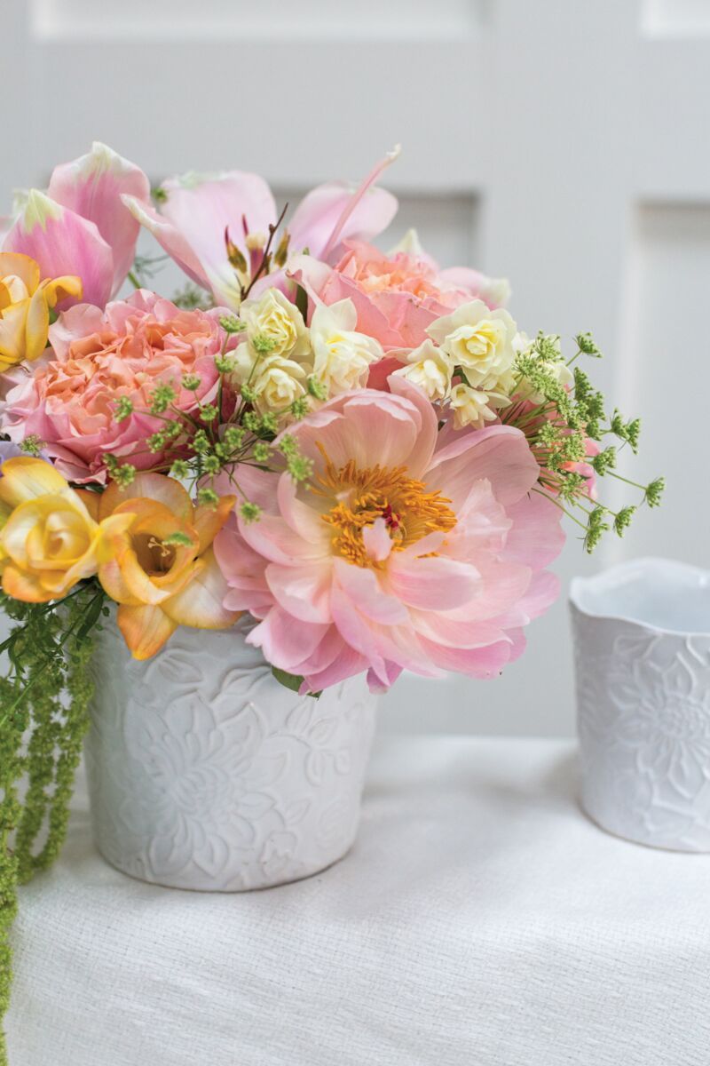 Priscella Pot 5.5"x 4.75"