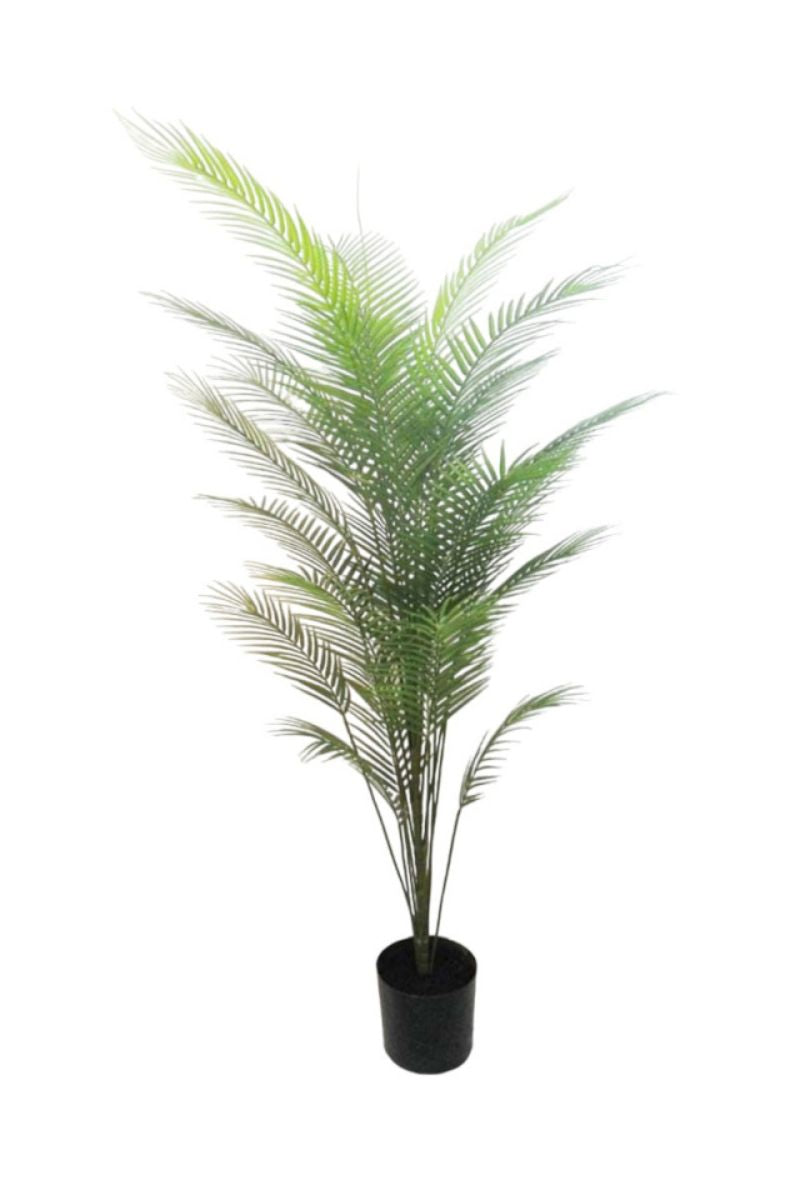 Faux Areca Palm Tree Potted 6' Green