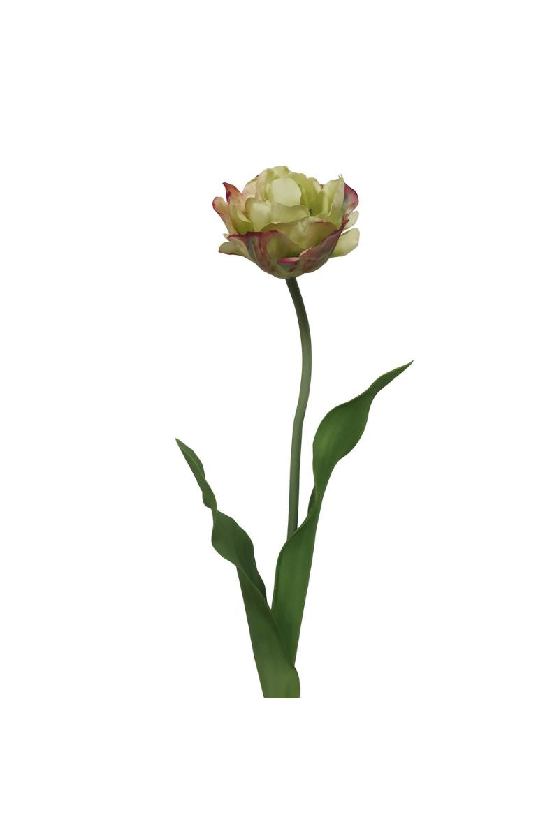 Faux Tulip Water Color Stem 25.5" Light Green