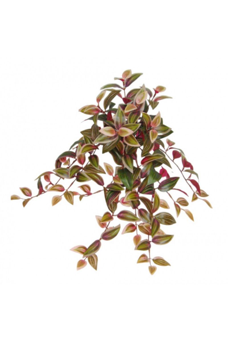 Faux Wandering Jew Hanging Bush X12 20" Burgundy Green