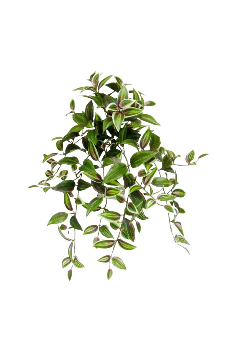 wandering jew plant hanging Faux Wandering Jew Hanging Bush X12 20" Variegated – Chalet