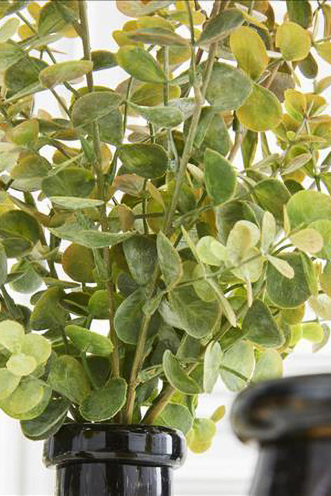 Silk Green & Gold Eucalyptus Stem | 26"