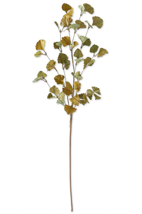 Silk | Green & Yellow Gingko Leaf Stem | 36"