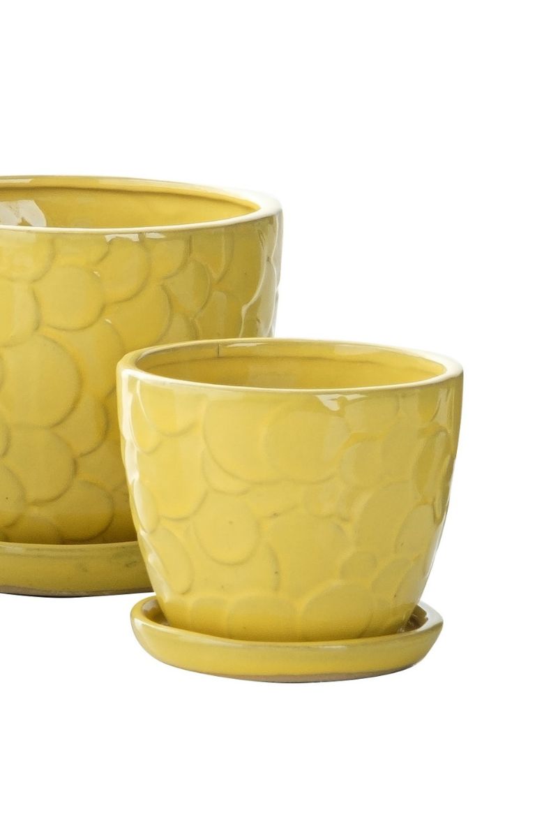 Alfresco Pebble Petits Pot with Saucer 5.75" Yellow