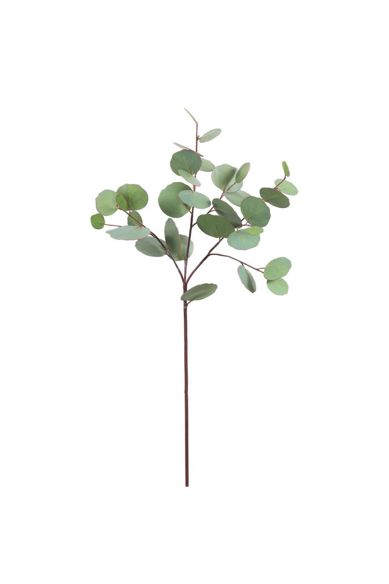 Eucalyptus Spray 26" Green Grey