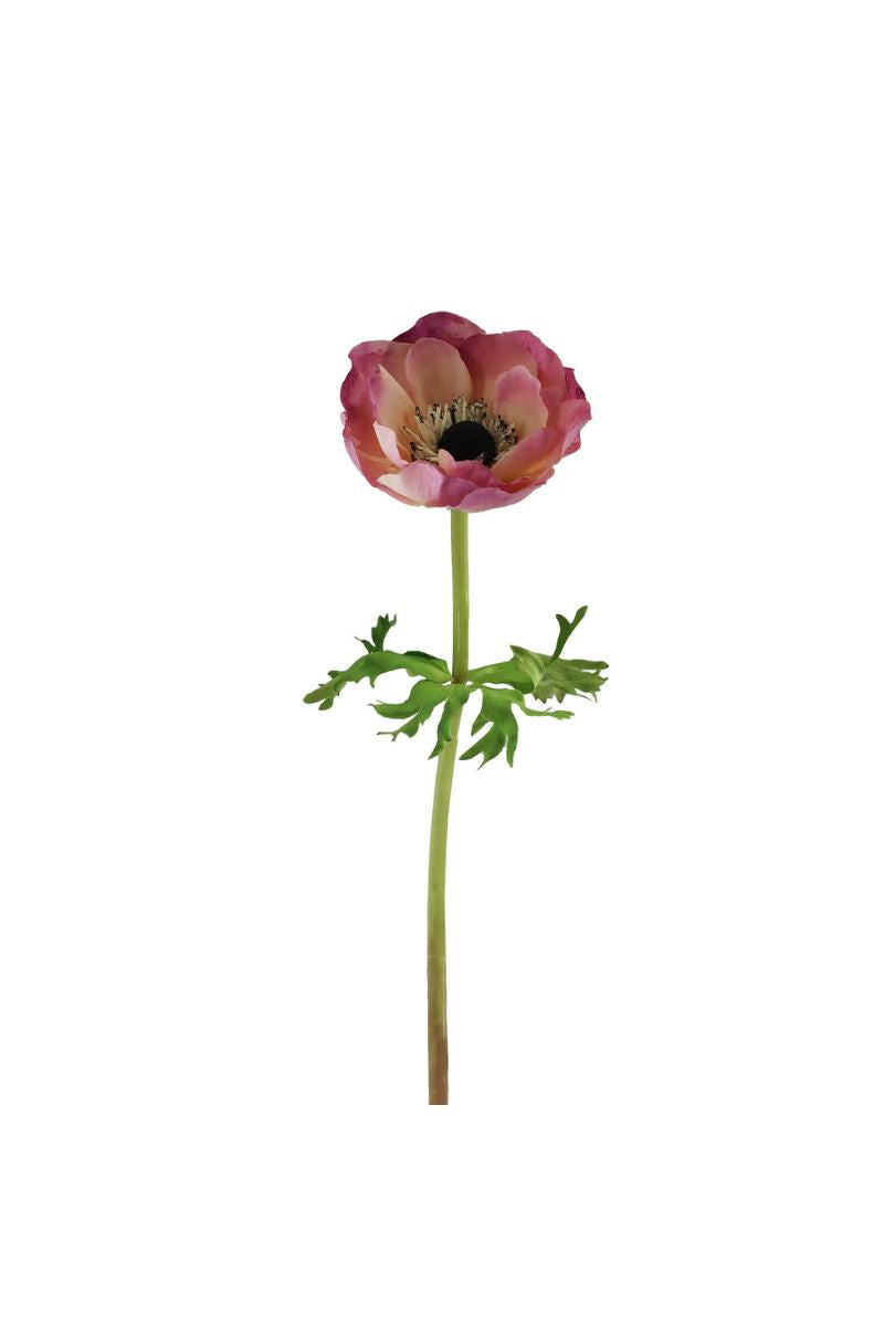 Faux Anemone Stem 17.5" Cream Mauve