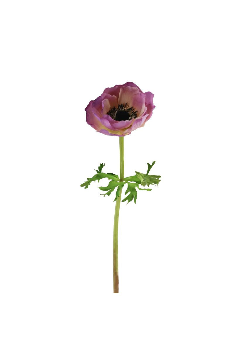 Faux Anemone Stem 17.5" Cream Purple