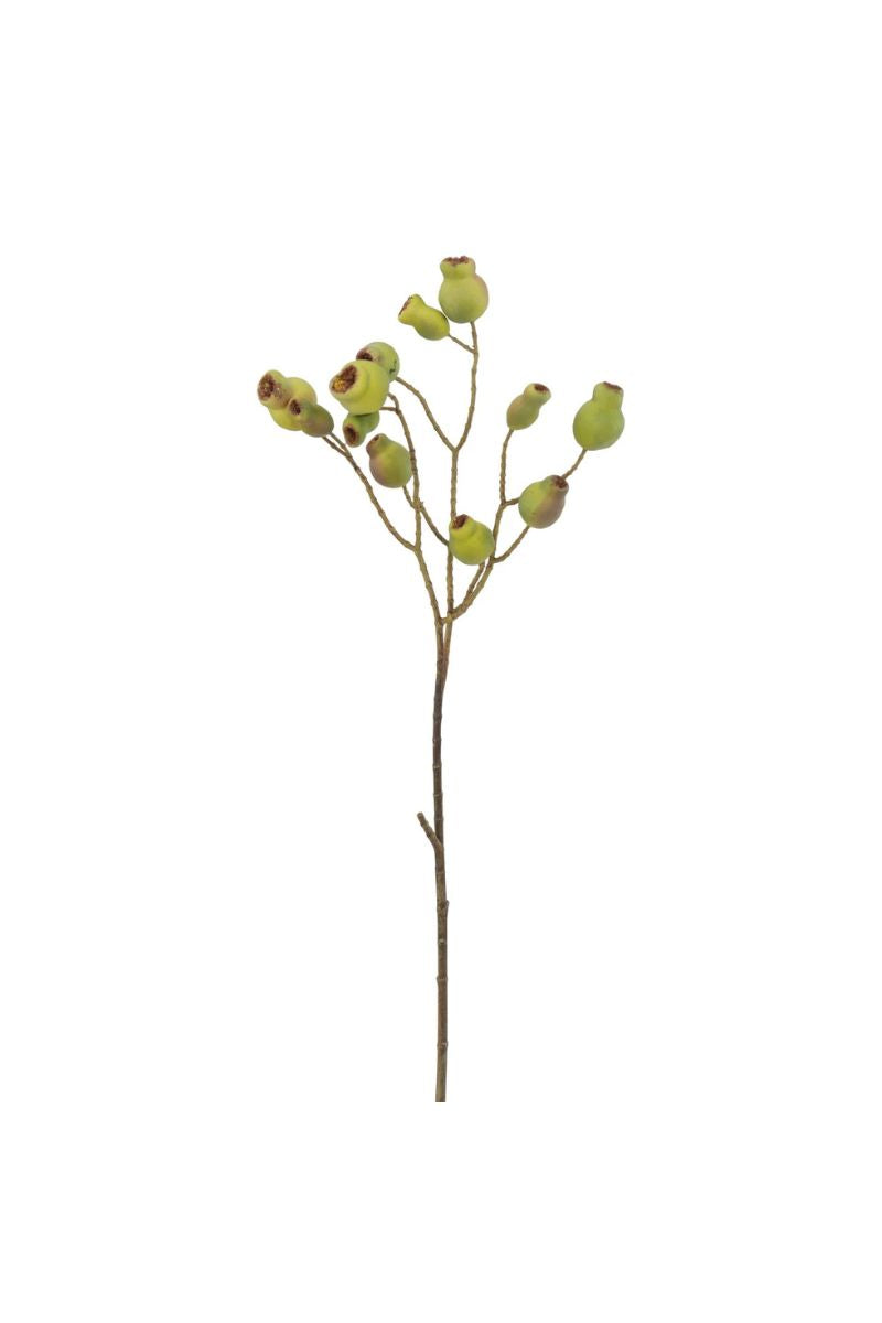 Eucalyptus Pod Spray 24.5" Green