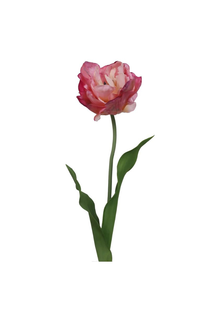 Faux Tulip Water Color Stem 25.5" Mauve