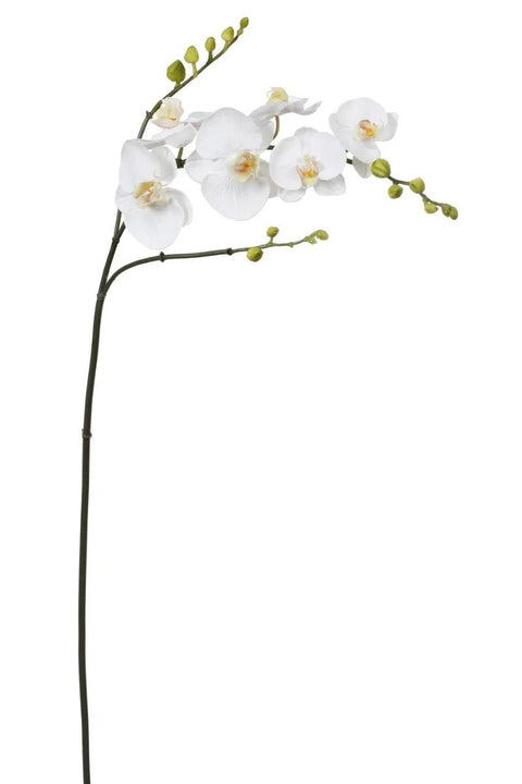 SILK ORCHID PHALAENOPSIS 37" WW