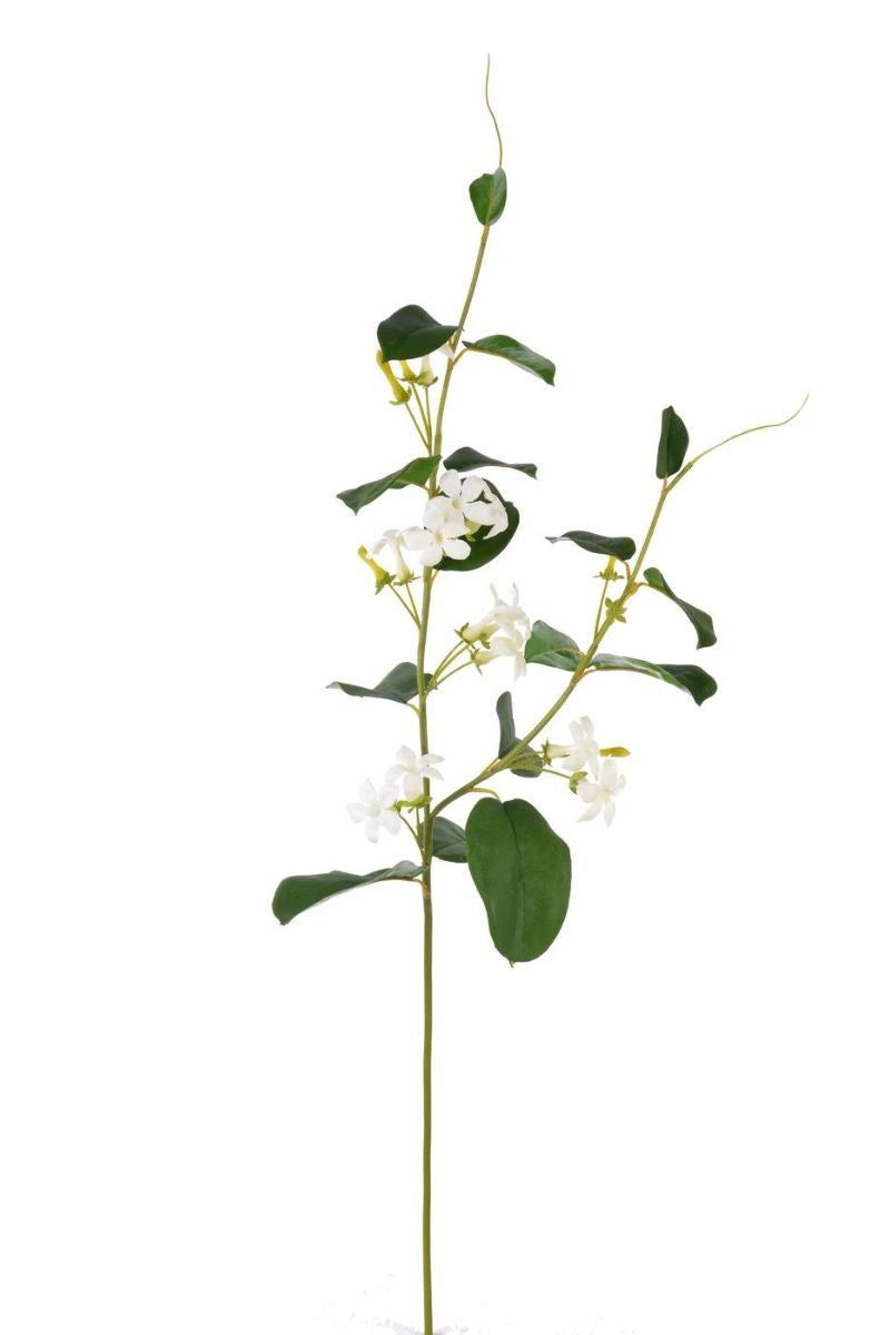 SILK, STEPHANOTIS 38.5" WH