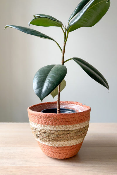 PLANTER, PAPERROPE ROUND SMALL
