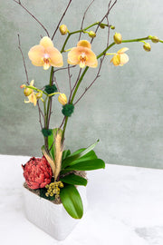Chalet Signature | Indoor | Yellow Orchid Linen 6.75"