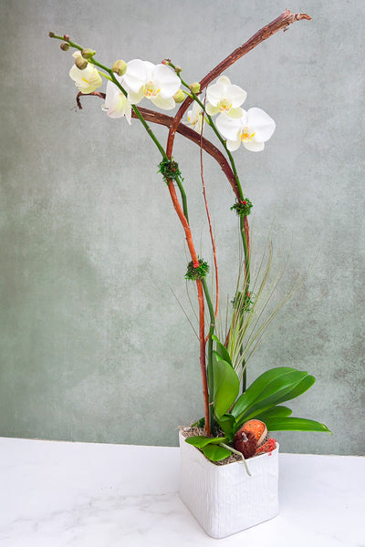 Cs Wt Fall Orchid Linen 6.75"