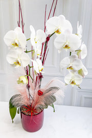 Chalet Signature V-Day Large Orchid Bordeaux