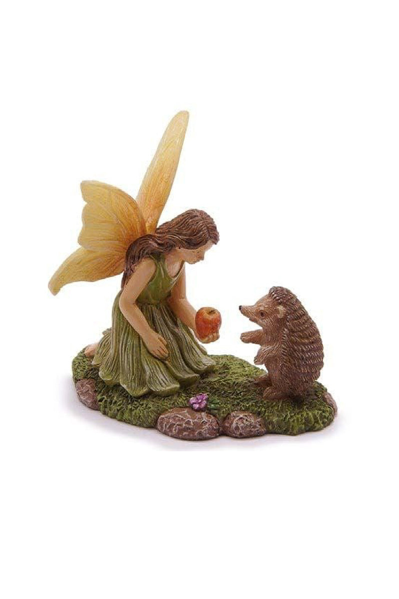 Miniature Garden Hedgehog Delight