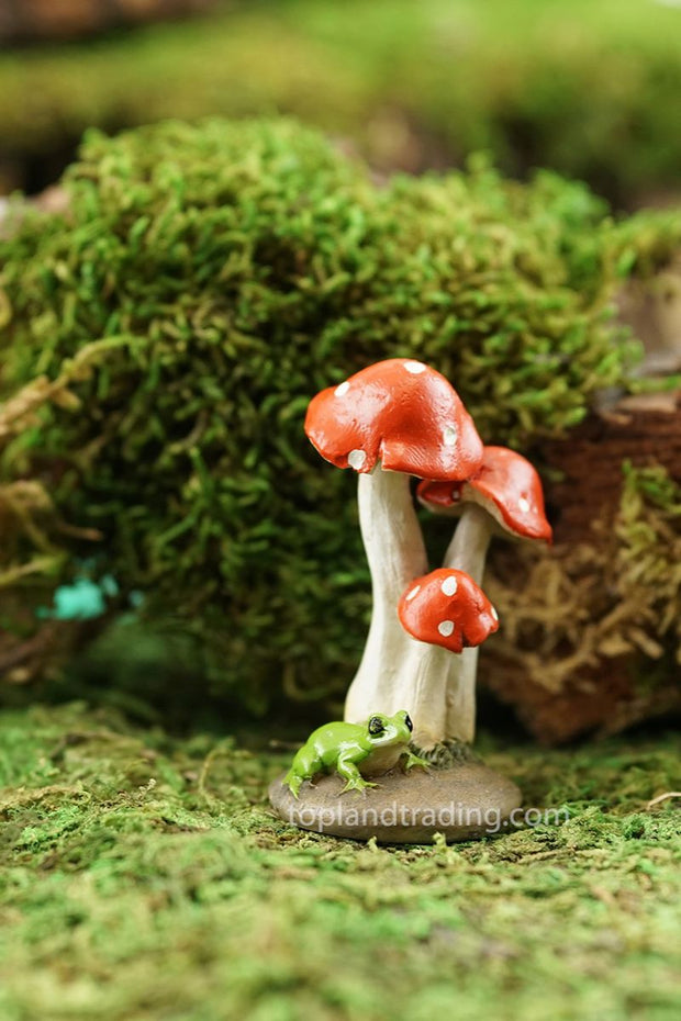 Mini Frog with Red Mushrooms