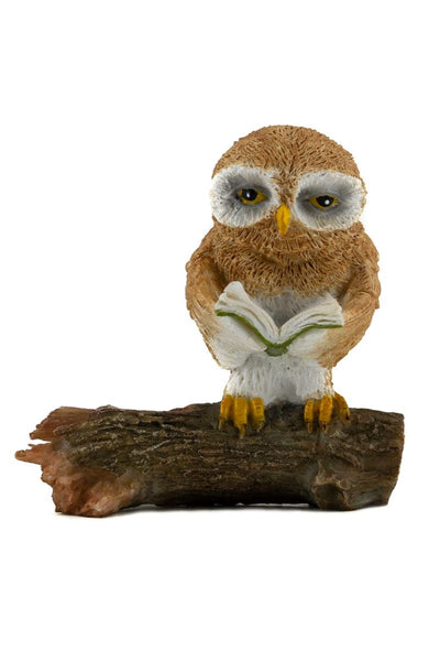 Owl Reading on Tree Log