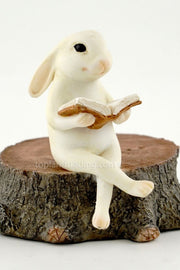 Bunny Reading on Stump