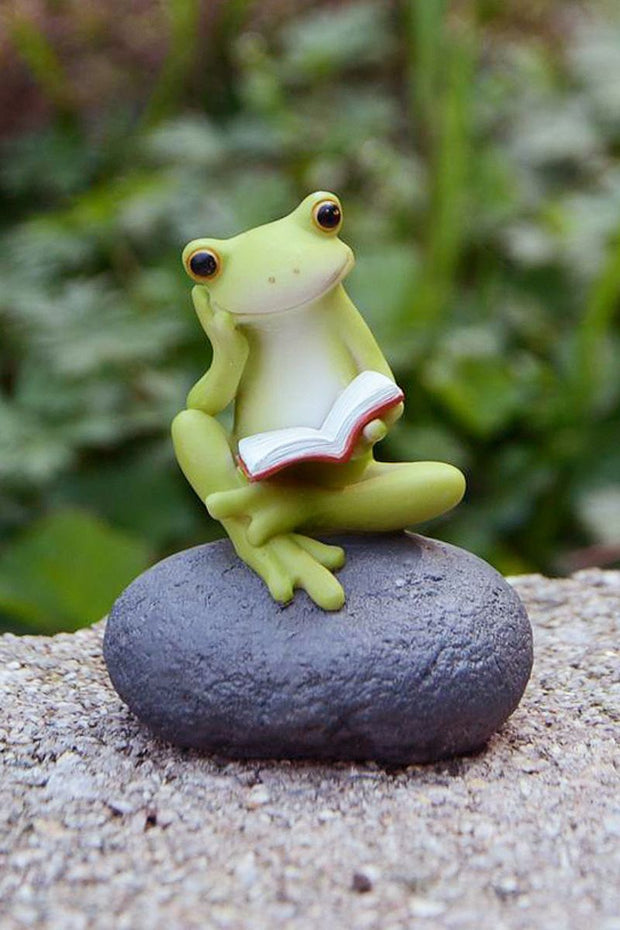 Frog Reading on Stone