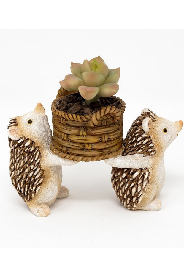 Hedgehogs Carrying Life-Like Potted Succulent Plant