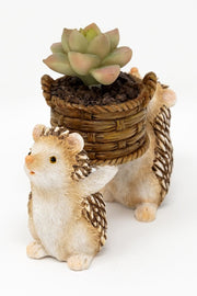 Hedgehogs Carrying Life-Like Potted Succulent Plant