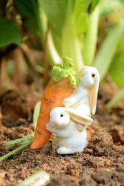 Rabbits Carrying Carrot