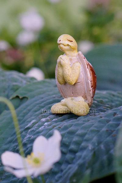 Yoga Turtle - Seated Namaste Pose