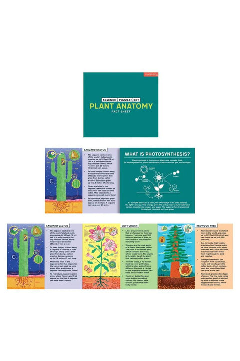 Mudpuppy Plant Anatomy Puzzle 3 Sets of 100 Pieces