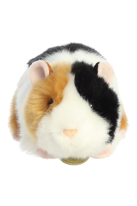 Miyoni 7.5" American Guinea Pig