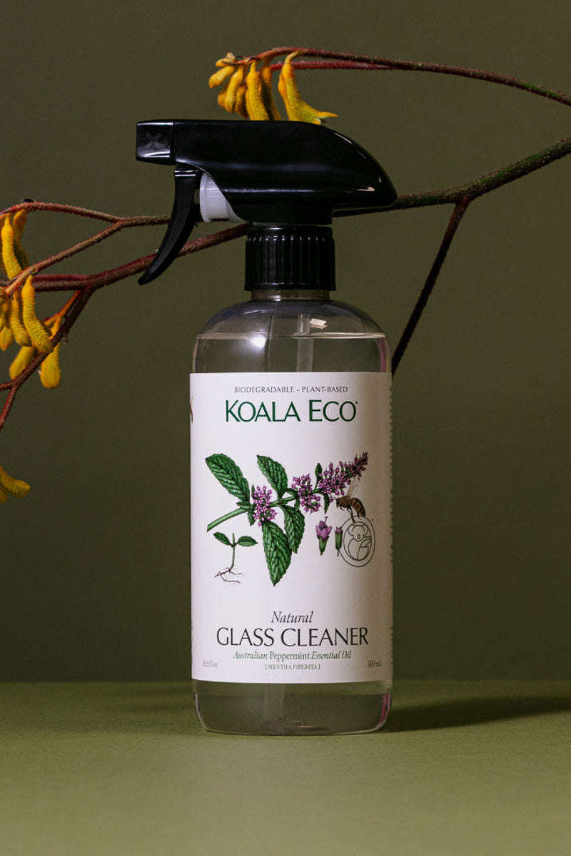 Koala Eco Natural Glass Cleaner 16 oz