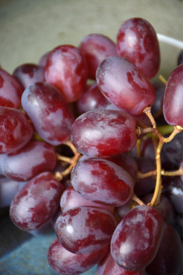 Fruit, Grape Reliance