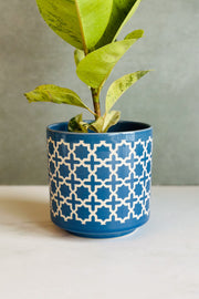 POT DITZY PATTRN PLANTER 5.75"