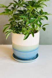 Valko Planter with attached Saucer 6.75 Blue, Green, Cream