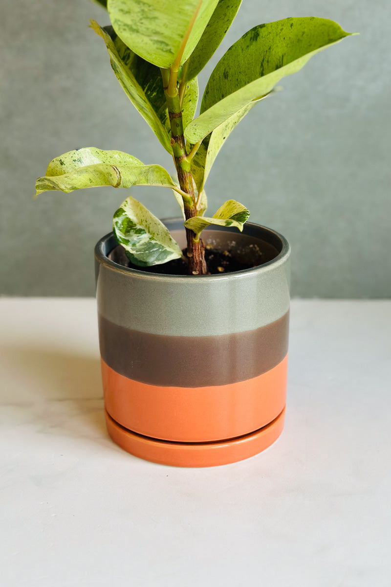 POT VALKO CYLINDER PLANTER 5"