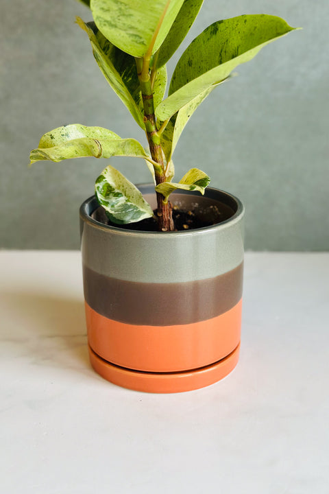 POT VALKO CYLINDER PLANTER 5"