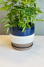 POT, SCOTIA PLANTER 7.5" LG