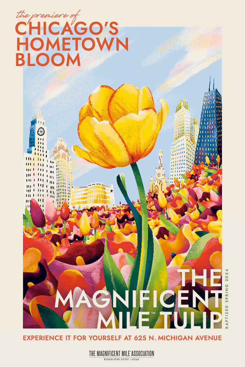 The Magnificent Mile™ Tulip Bulbs - Gift Box of 20