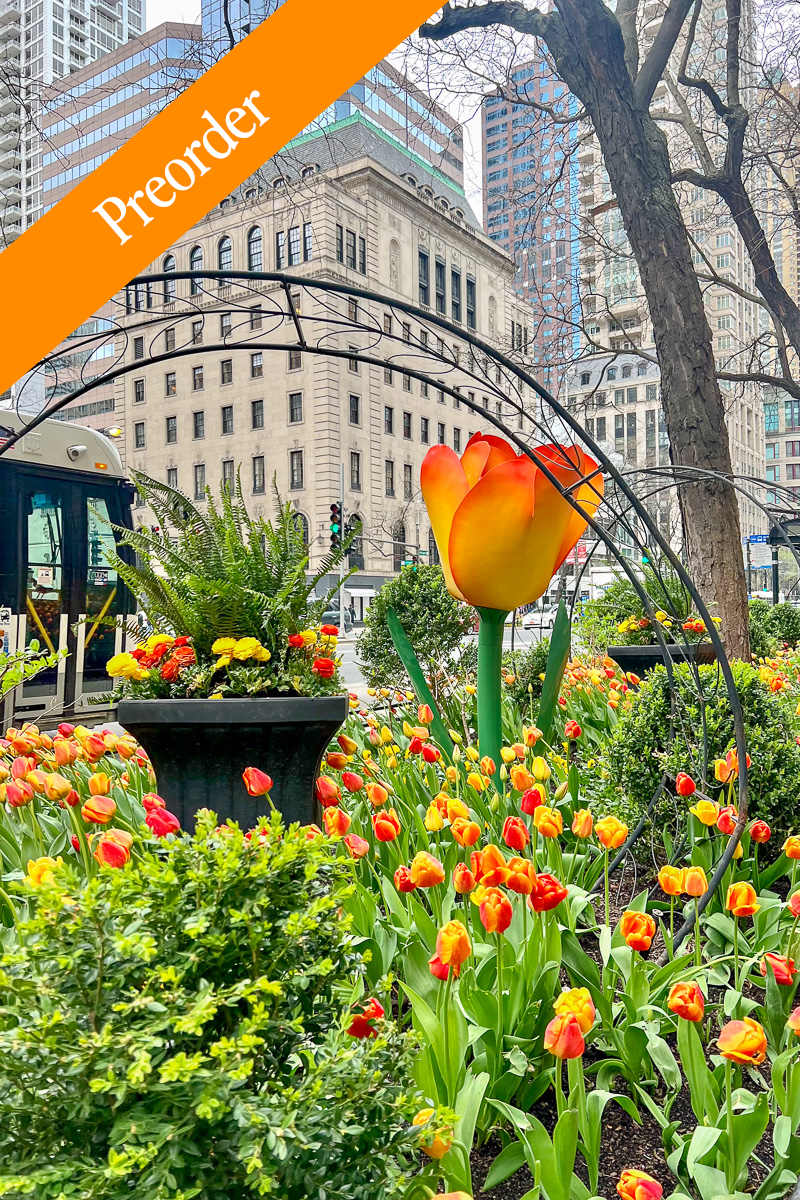 The Magnificent Mile™ Tulip Bulbs - Gift Box of 20