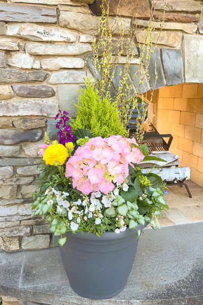 Chalet Signature Pretty Pink Hydrangea Emma