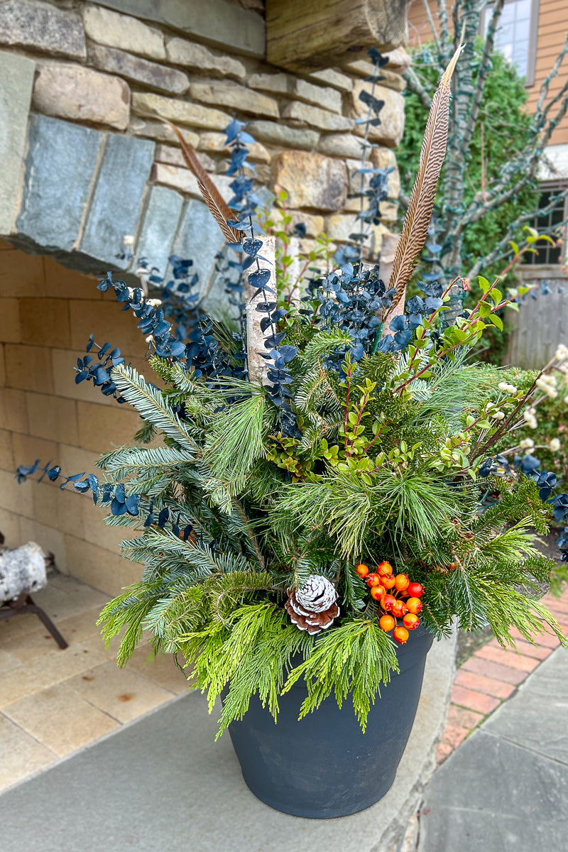 Chalet Signature | Winter | Farmhouse