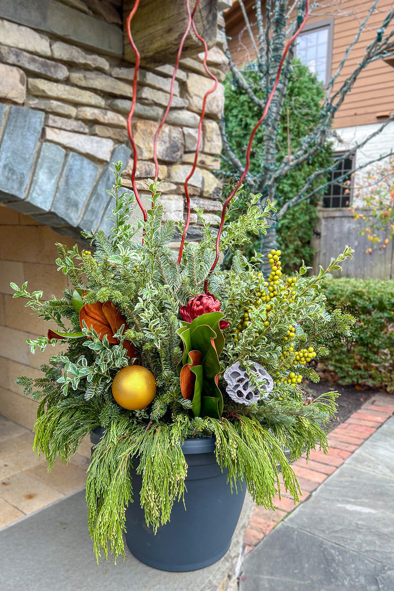 Chalet Signature | Winter | Boho
