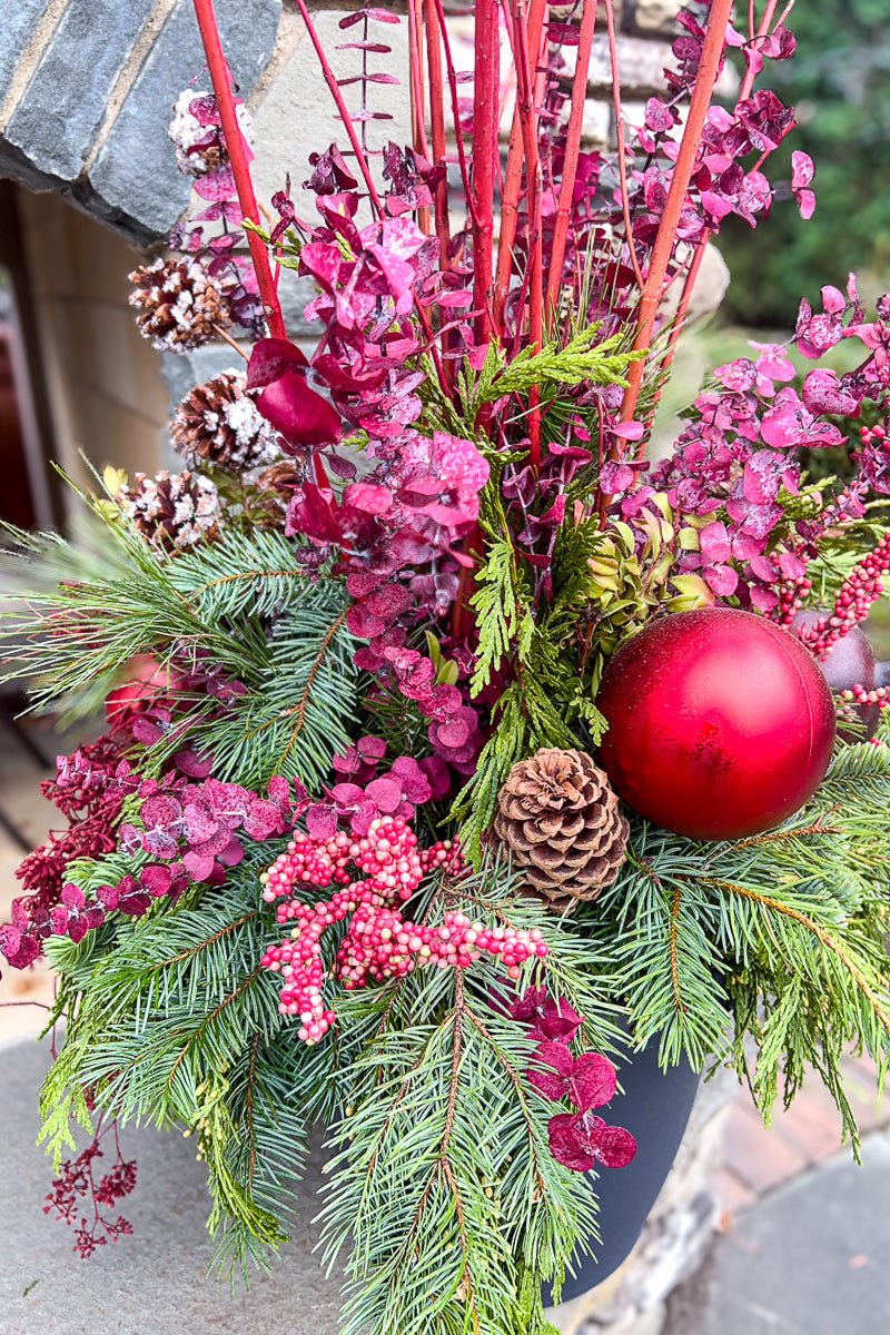 Chalet Signature | Winter | Classic + Fresh