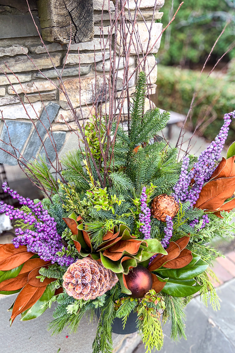 Chalet Signature Winter Royality